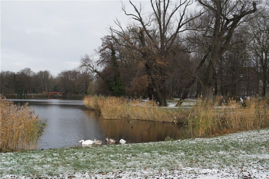 Berlin. Charlottenburg. Schlosspark - Schloss Charlottenburg.
22. 11. 2008. Berlin. Charlottenburg. Schlosspark. Schloss Charlottenburg.
Schlüsselwörter: Berlin;Charlottenburg;Deutschland;Germany;Schloss;2008;Schlosspark
