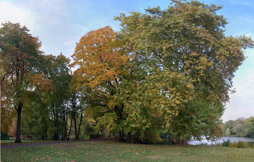 Berlin. Charlottenburg. Schlosspark. Schloss Charlottenburg.
25. 10. 2009. Berlin. Charlottenburg. Schlosspark. Schloss Charlottenburg. Schloss.
Schlüsselwörter: Berlin;Charlottenburg;Deutschland;Germany;Schlosspark;2009;Schloßpark