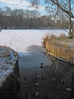 Dateiname=Berlin-Charlottenburg-Schloss-20021223-25.jpg
Dateigröße=288KB
Abmessungen: 661x880
hinzugefügt am: 04. Januar 2016 Berlin-Charlottenburg-Schloss-20021223-25.jpg