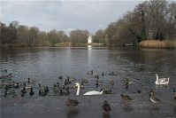 Dateiname=Berlin-Charlottenburg-Schloss-20081122-11.jpg
Dateigröße=189KB
Abmessungen: 880x587
hinzugefügt am: 04. Januar 2016 Berlin-Charlottenburg-Schloss-20081122-11.jpg
