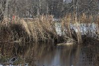 Berlin-Charlottenburg-Schloss-20081122-45.jpg