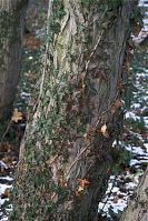 Dateiname=Berlin-Charlottenburg-Schloss-20081122-48.jpg
Dateigröße=298KB
Abmessungen: 587x880
hinzugefügt am: 04. Januar 2016 Berlin-Charlottenburg-Schloss-20081122-48.jpg