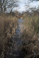 Berlin-Charlottenburg-Schloss-20081122-49.jpg