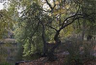 Dateiname=Berlin-Charlottenburg-Schloss-20091025-62.jpg
Dateigröße=382KB
Abmessungen: 880x591
hinzugefügt am: 04. Januar 2016 Berlin-Charlottenburg-Schloss-20091025-62.jpg