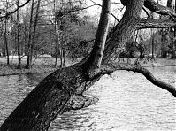 Dateiname=Berlin-Charlottenburg-Schlosspark-1988-07.jpg
Dateigröße=293KB
Abmessungen: 880x653
hinzugefügt am: 04. Januar 2016 Berlin-Charlottenburg-Schlosspark-1988-07.jpg
