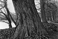 Dateiname=Berlin-Charlottenburg-Schlosspark-1988-101.jpg
Dateigröße=318KB
Abmessungen: 880x601
hinzugefügt am: 04. Januar 2016 Berlin-Charlottenburg-Schlosspark-1988-101.jpg