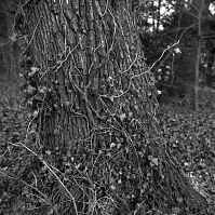 Berlin-Charlottenburg-Schlosspark-198802-101.jpg