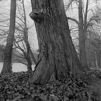 Dateiname=Berlin-Charlottenburg-Schlosspark-198802-102.jpg
Dateigröße=351KB
Abmessungen: 880x877
hinzugefügt am: 04. Januar 2016 Berlin-Charlottenburg-Schlosspark-198802-102.jpg
