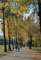 Dateiname=Berlin-Charlottenburg-Schlosspark-200410-14.jpg
Dateigröße=436KB
Abmessungen: 597x880
hinzugefügt am: 04. Januar 2016 Berlin-Charlottenburg-Schlosspark-200410-14.jpg