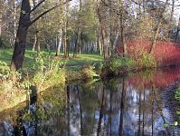 Dateiname=Berlin-Charlottenburg-Schlosspark-20041121-06.jpg
Dateigröße=428KB
Abmessungen: 880x661
hinzugefügt am: 04. Januar 2016 Berlin-Charlottenburg-Schlosspark-20041121-06.jpg