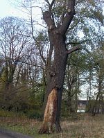 Dateiname=Berlin-Charlottenburg-Schlosspark-20041121-07.jpg
Dateigröße=433KB
Abmessungen: 661x880
hinzugefügt am: 04. Januar 2016 Berlin-Charlottenburg-Schlosspark-20041121-07.jpg