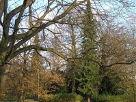 Dateiname=Berlin-Charlottenburg-Schlosspark-20041121-10.jpg
Dateigröße=484KB
Abmessungen: 880x661
hinzugefügt am: 04. Januar 2016 Berlin-Charlottenburg-Schlosspark-20041121-10.jpg