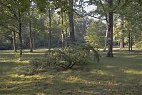 Dateiname=Berlin-Charlottenburg-Schlosspark-20051006-22.jpg
Dateigröße=310KB
Abmessungen: 880x586
hinzugefügt am: 04. Januar 2016 Berlin-Charlottenburg-Schlosspark-20051006-22.jpg