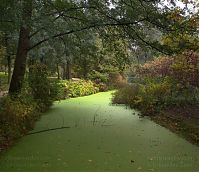 Dateiname=Berlin-Charlottenburg-Schlosspark-20091025-50.jpg
Dateigröße=351KB
Abmessungen: 880x760
hinzugefügt am: 04. Januar 2016 Berlin-Charlottenburg-Schlosspark-20091025-50.jpg