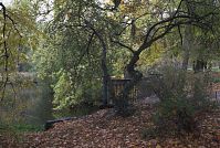 Dateiname=Berlin-Charlottenburg-Schlosspark-20091025-61.jpg
Dateigröße=383KB
Abmessungen: 880x591
hinzugefügt am: 04. Januar 2016 Berlin-Charlottenburg-Schlosspark-20091025-61.jpg
