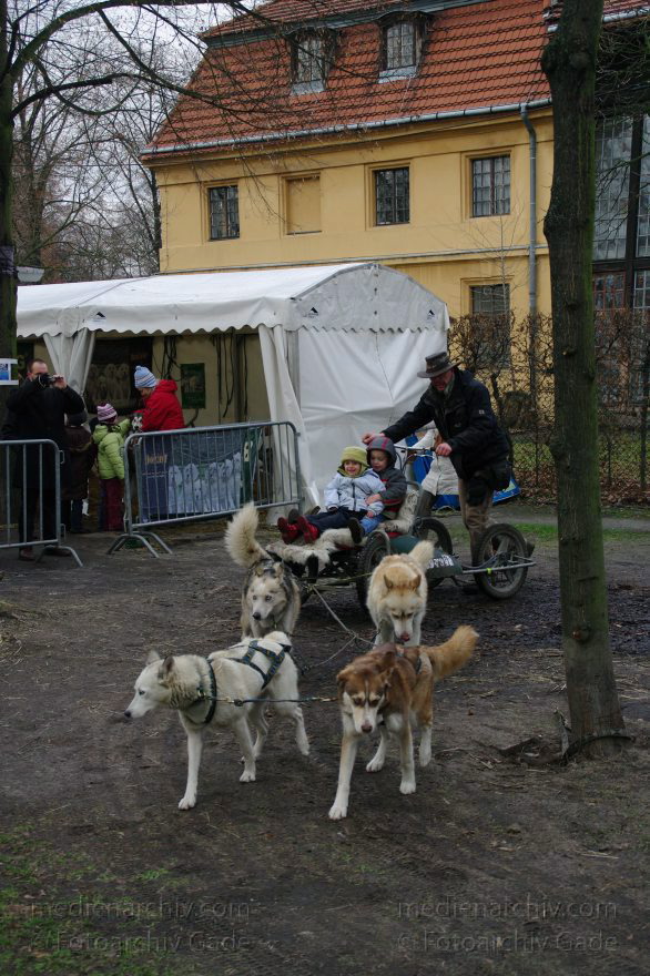 Berlin. Weihnachtsmarkt vor dem Schloss Charlottenburg.Schlittenhunde.
13. 12. 2009. Berlin. Charlottenburg. Weihnachtsmarkt vor dem Schloss Charlottenburg. Schlittenhunde.
Schlüsselwörter: Berlin;Charlottenburg;Deutschland;Germany;Schlittenhunde;2009;Weihnachtsmarkt