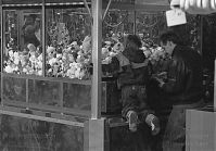 Dateiname=Berlin-Charlottenburg-Weihnachten-19921225-64.jpg
Dateigröße=201KB
Abmessungen: 880x615
hinzugefügt am: 04. Januar 2016 Berlin-Charlottenburg-Weihnachten-19921225-64.jpg