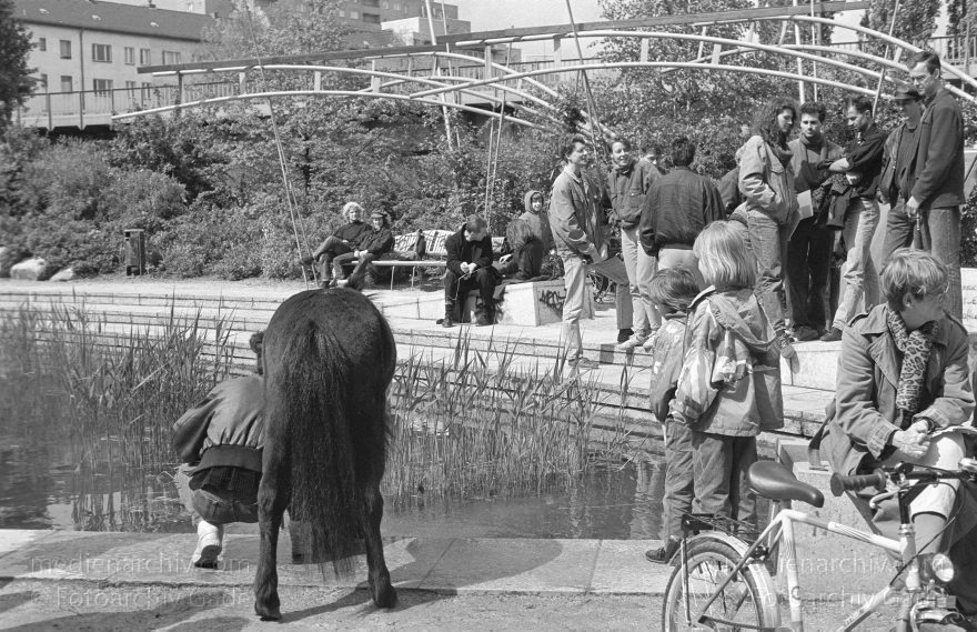 Berlin. Kreuzberg. Wassertorplatz. Künstlicher Teich.
10. 5. 1992. Berlin. Kreuzberg. Wassertorplatz. Künstlicher Teich. Kinder mit Pony
Schlüsselwörter: Berlin;Demo;Deutschland;Germany;Honcamp, Andreas;Kinder;Kreuzberg;Pony;1992;Wassertorplatz