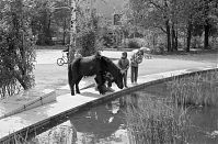 Berlin-Kreuzberg-19920510-084.jpg