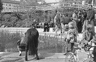 Dateiname=Berlin-Kreuzberg-19920510-328.jpg
Dateigröße=299KB
Abmessungen: 880x569
hinzugefügt am: 04. Januar 2016 Berlin-Kreuzberg-19920510-328.jpg