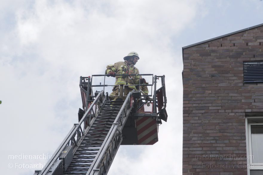 Berlin. Einsatz der Berliner Feuerwehr in der Kiautschoustraße
18. 8. 2014. Berlin. Mitte. Wedding. Einsatz der Berliner Feuerwehr in der Kiautschoustraße nach einem Sturm
Schlüsselwörter: 2014;Berlin;Berliner Feuerwehr;Feuerwehr;Mitte;Wedding