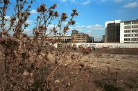 Berlin-Friedrichshain-East-Side-Gallery-199010-14.jpg