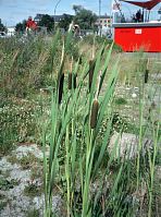 Berlin-Mitte-Moabit-Hauptbahnhof-200307-23.jpg