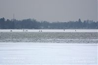 Dateiname=Berlin-Havel-20120214-174.jpg
Dateigröße=122KB
Abmessungen: 880x584
hinzugefügt am: 04. Januar 2016 Berlin-Havel-20120214-174.jpg