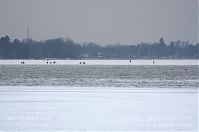 Berlin-Havel-20120214-174.jpg