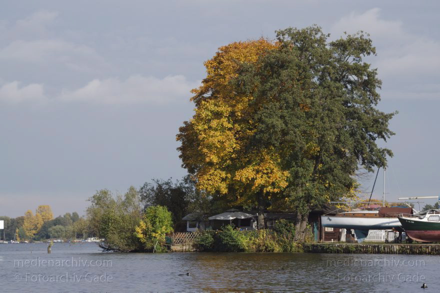 Berlin. Reinickendorf. Heiligensee. Fluss Havel. Herbstlaub an den Bäumen
13. 10. 2013. Berlin. Reinickendorf. Heiligensee. Fluss Havel. Herbstlaub an den Bäumen
Schlüsselwörter: Berlin;Fluss;Germany;Havel;Heiligensee;Herbst;Herbstlaub;2013;Reinickendorf