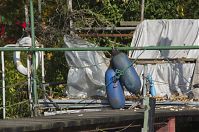 Berlin-Havel-obere-20121021-106.jpg