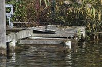 Berlin-Havel-obere-20121021-107.jpg