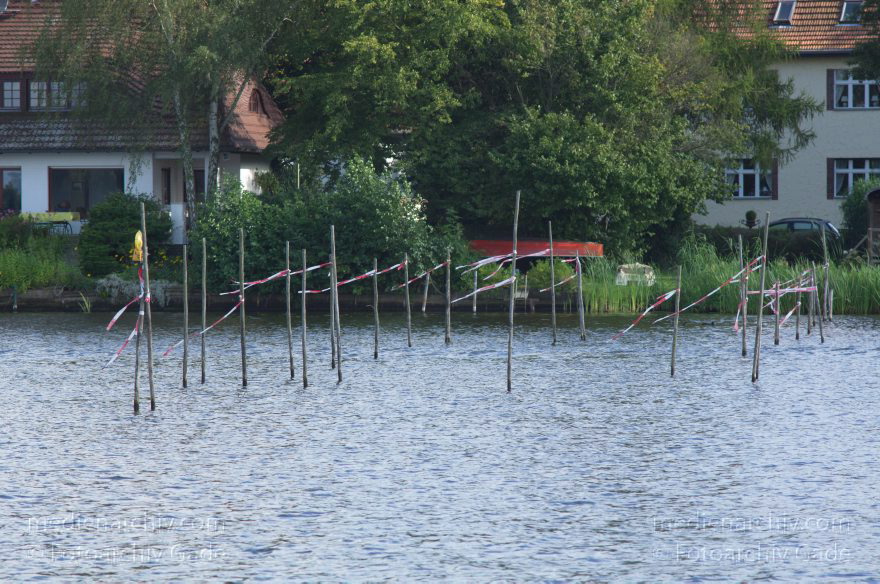 Berlin. Niederneuendorfer See. Verbreiterung des es Havel. Fischerei. Stangen für Reusen
1. 9. 2012. Berlin. Niederneuendorfer See. Verbreiterung des Flusses Havel. Fischerei. Stangen für Reusen
Schlüsselwörter: Berlin;Boote;Deutschland;Fischerei;Fluss;Germany;Havel;Nieder-Neuendorfer See;Niederneuendorfer See;Reinickendorf;Reusen;2012;Stangen