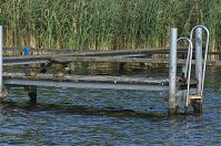 Berlin-Nieder-Neuendorfer-See-20120901-133.jpg