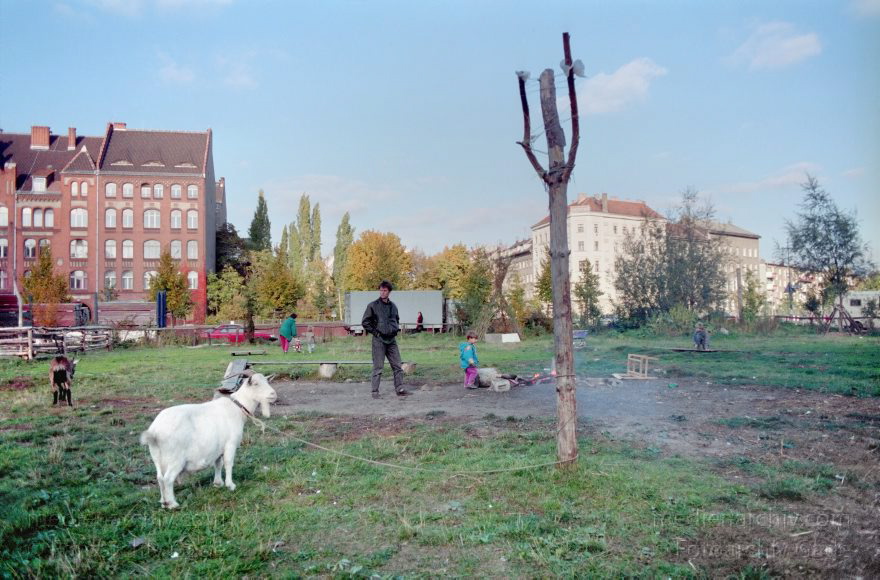 Berlin. Kreuzberg. Bethaniendamm
16. 10. 1994. Berlin. Kreuzberg. Bethaniendamm. Ziegenbock
Schlüsselwörter: Bethaniendamm;Deutschland;Germany;Kreuzberg;Berlin;Ziegenbock