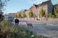 Berlin-Kreuzberg-Bethaniendamm-19941016-116.jpg