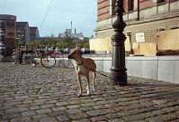 Dateiname=Berlin-Kreuzberg-19901109-08.jpg
Dateigröße=243KB
Abmessungen: 880x595
hinzugefügt am: 04. Januar 2016 Berlin-Kreuzberg-19901109-08.jpg