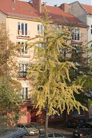 Dateiname=Berlin-Mitte-Moabit-20111028-323.jpg
Dateigröße=341KB
Abmessungen: 584x880
hinzugefügt am: 04. Januar 2016 Berlin-Mitte-Moabit-20111028-323.jpg