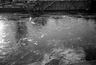 Dateiname=Berlin-Mitte-Moabit-Spree-199602-19.jpg
Dateigröße=235KB
Abmessungen: 880x601
hinzugefügt am: 04. Januar 2016 Berlin-Mitte-Moabit-Spree-199602-19.jpg