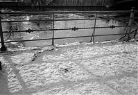 Dateiname=Berlin-Mitte-Moabit-Spree-199602-20.jpg
Dateigröße=251KB
Abmessungen: 880x604
hinzugefügt am: 04. Januar 2016 Berlin-Mitte-Moabit-Spree-199602-20.jpg