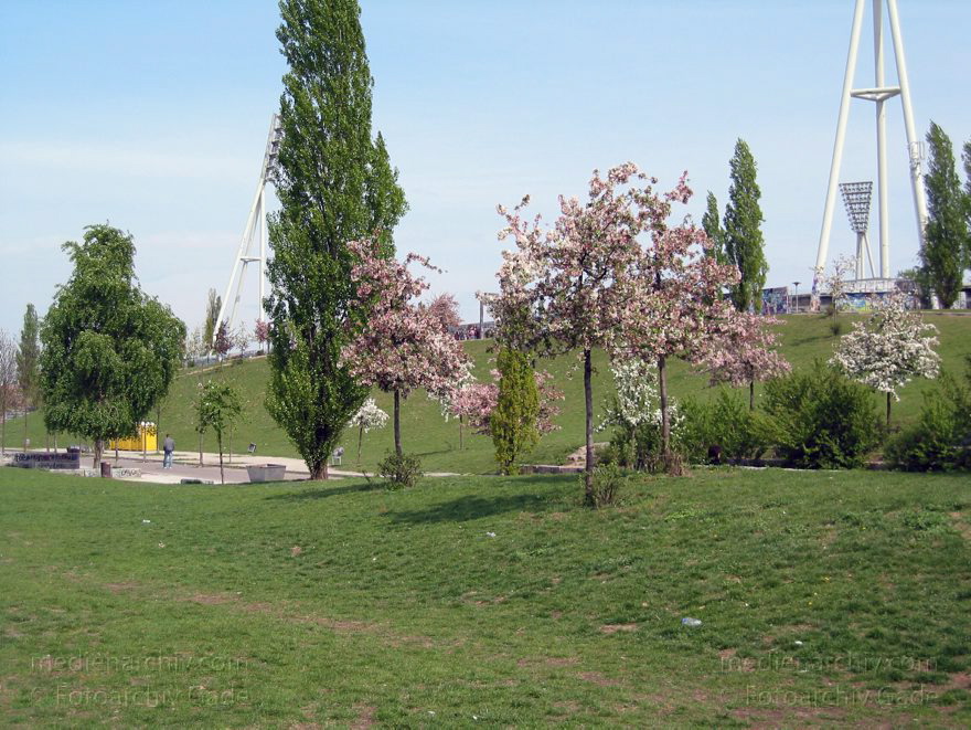 Berlin. Prenzlauer Berg. (Pankow) Mauerpark
Mai 2003. Berlin. Prenzlauer Berg. (Pankow) Mauerpark
Schlüsselwörter: Berlin;Deutschland;Germany;Mauerpark;Pankow;2003;Prenzlauer Berg