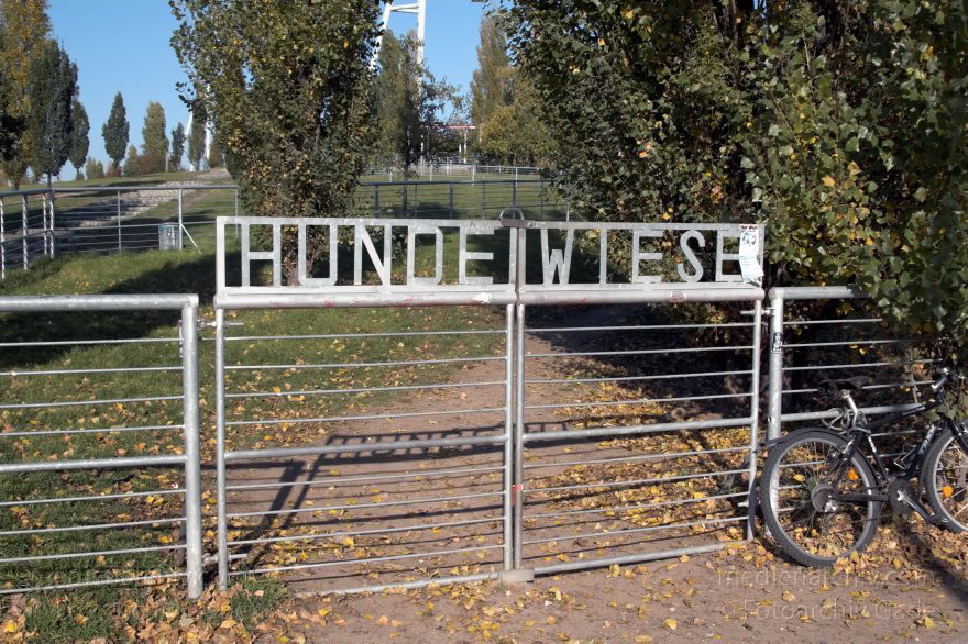 Berlin. Pankow. Prenzlauer Berg. Mauerpark. Eingang zum Freilaufgebiet für Hunde.
28. 10. 2005. Berlin. Pankow. Prenzlauer Berg. Mauerpark. Eingang zum Freilaufgebiet für Hunde.
Schlüsselwörter: Berlin;Deutschland;Germany;Mauerpark;Pankow;2005;Prenzlauer Berg