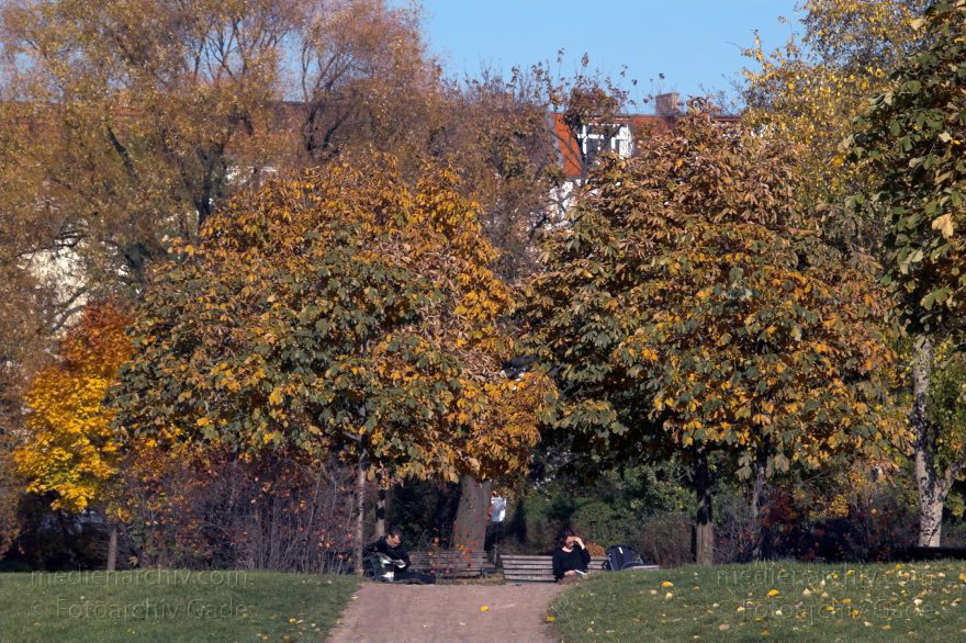 Berlin. Pankow. Prenzlauer Berg. Mauerpark. Herbstlaub an den Bäumen.
28. 10. 2005. Berlin. Pankow. Prenzlauer Berg. Mauerpark. Herbstlaub an den Bäumen.
Schlüsselwörter: Berlin;Deutschland;Germany;Herbst;Mauerpark;Pankow;2005;Prenzlauer Berg