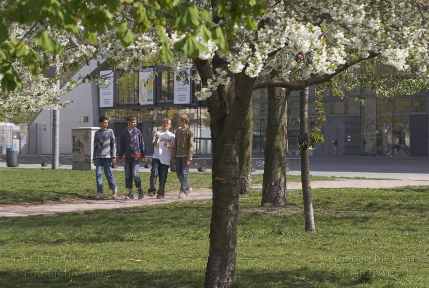 Berlin. Pankow. Prenzlauer Berg. Mauerpark. Jungengruppe unter blühenden Bäumen.
13. 4. 2007. Berlin. Pankow. Prenzlauer Berg. Mauerpark. Jungengruppe unter blühenden Bäumen.
Schlüsselwörter: Berlin;Deutschland;Germany;Mauerpark;Pankow;2007;Prenzlauer Berg