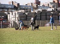 Dateiname=Berlin-Prenzlauer-Berg-Mauerpark-200203-04.jpg
Dateigröße=269KB
Abmessungen: 880x638
hinzugefügt am: 04. Januar 2016 Berlin-Prenzlauer-Berg-Mauerpark-200203-04.jpg