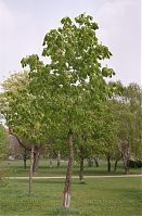 Dateiname=Berlin-Prenzlauer-Berg-Mauerpark-200205-11.jpg
Dateigröße=292KB
Abmessungen: 578x880
hinzugefügt am: 04. Januar 2016 Berlin-Prenzlauer-Berg-Mauerpark-200205-11.jpg