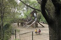 Berlin-Prenzlauer-Berg-Mauerpark-200205-14.jpg