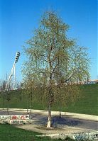 Dateiname=Berlin-Prenzlauer-Berg-Mauerpark-200211-35.jpg
Dateigröße=363KB
Abmessungen: 609x880
hinzugefügt am: 04. Januar 2016 Berlin-Prenzlauer-Berg-Mauerpark-200211-35.jpg