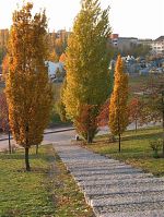 Dateiname=Berlin-Prenzlauer-Berg-Mauerpark-200310-04.jpg
Dateigröße=390KB
Abmessungen: 661x880
hinzugefügt am: 04. Januar 2016 Berlin-Prenzlauer-Berg-Mauerpark-200310-04.jpg