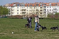 Dateiname=Berlin-Prenzlauer-Berg-Mauerpark-20050422-14.jpg
Dateigröße=257KB
Abmessungen: 880x586
hinzugefügt am: 04. Januar 2016 Berlin-Prenzlauer-Berg-Mauerpark-20050422-14.jpg